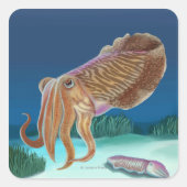 MassachusettsCutlefishのシーン スクエアシール (正面)