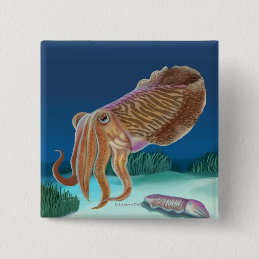 MassachusettsCutlefishのシーン 缶バッジ (正面)