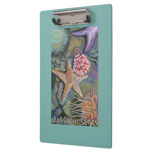 MassachusettsTidepool場面 クリップボード (左)
