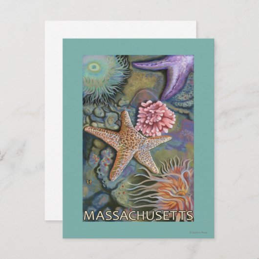 MassachusettsTidepool場面 ポストカード (正面/裏面)