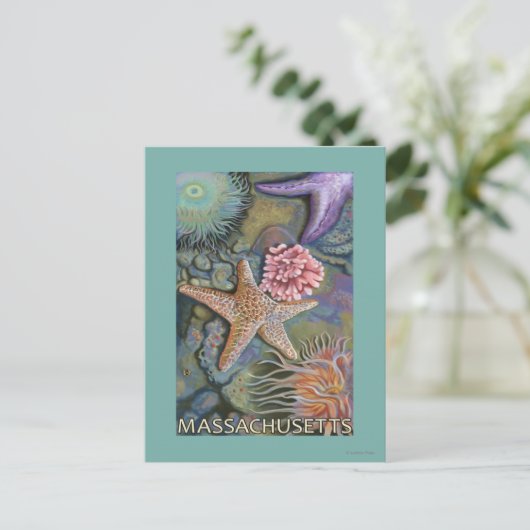 MassachusettsTidepool場面 ポストカード (スタンド正面)