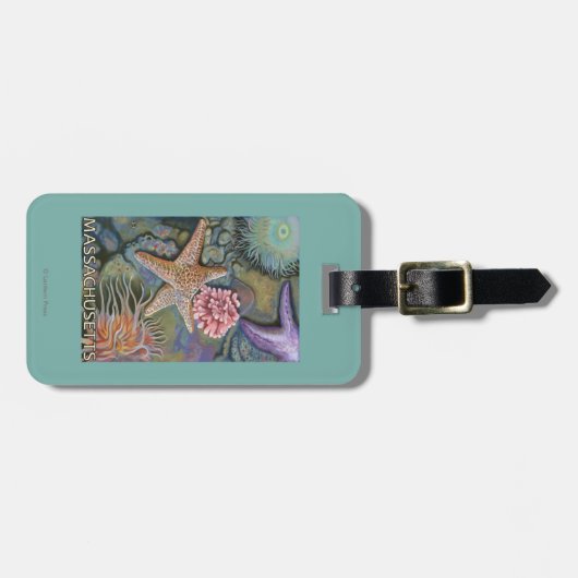 MassachusettsTidepool場面 ラゲッジタグ (正面横)