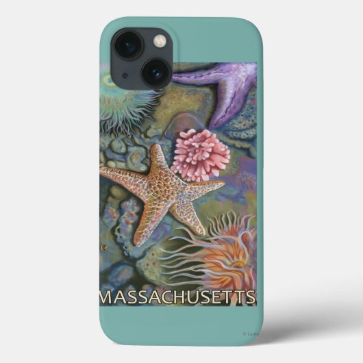 MassachusettsTidepool場面 Case-Mate iPhoneケース (裏面)