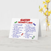 MASTIFF財産法2 カード (黄色い花)