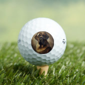 Mastiff ゴルフボール (インサイチュ 木)
