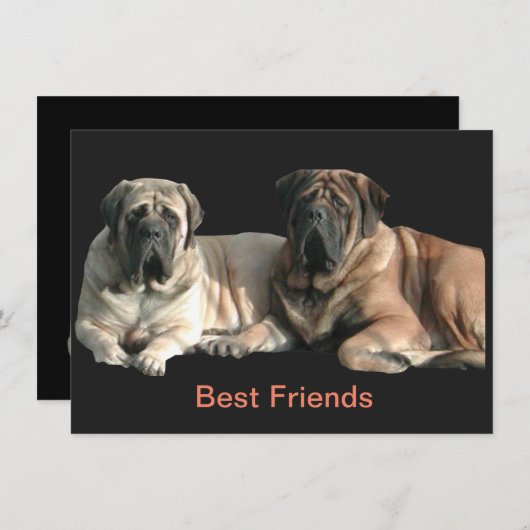 Mastiff Best Friends  招待状 (正面/裏面)