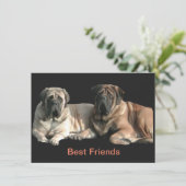 Mastiff Best Friends  招待状 (スタンド正面)