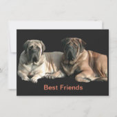 Mastiff Best Friends  招待状 (正面)