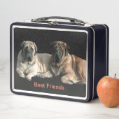 Mastiff Best Friends Metall Brotdose メタルランチボックス (インサイチュ)