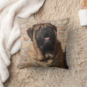 Mastiff englische Dogge クッション (ブランケット)