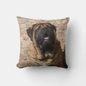 Mastiff englische Dogge クッション (正面)