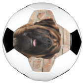 Mastiff englische Dogge サッカーボール (回転)