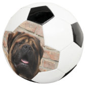 Mastiff englische Dogge サッカーボール (3/4)