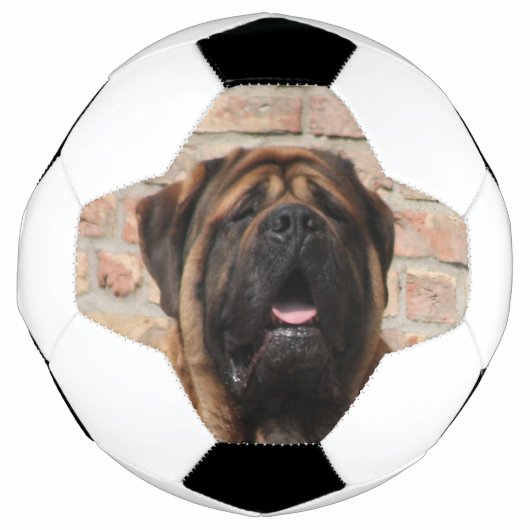 Mastiff englische Dogge サッカーボール (正面)