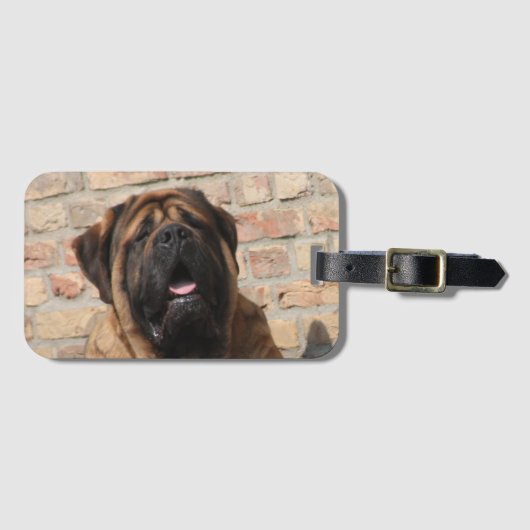 Mastiff englische Dogge ラゲッジタグ (正面横)