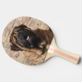 Mastiff englische Dogge 卓球ラケット (横)