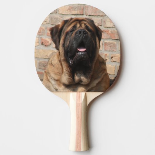 Mastiff englische Dogge 卓球ラケット (正面)