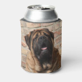 Mastiff englische Dogge 缶クーラー (缶裏面)