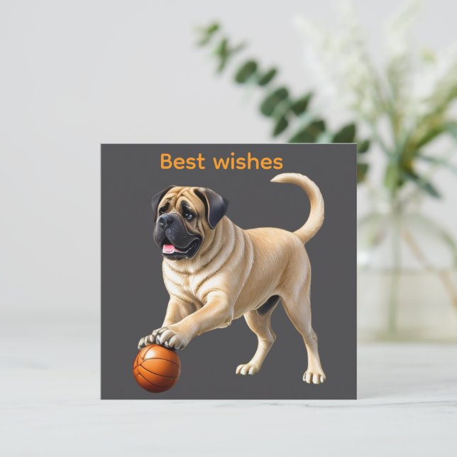 Mastiff englische Dogge mit Ball im Urlaub (スタンド正面)