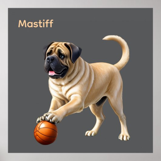 Mastiff englische Dogge mit Ball im Urlaub ポスター (正面)