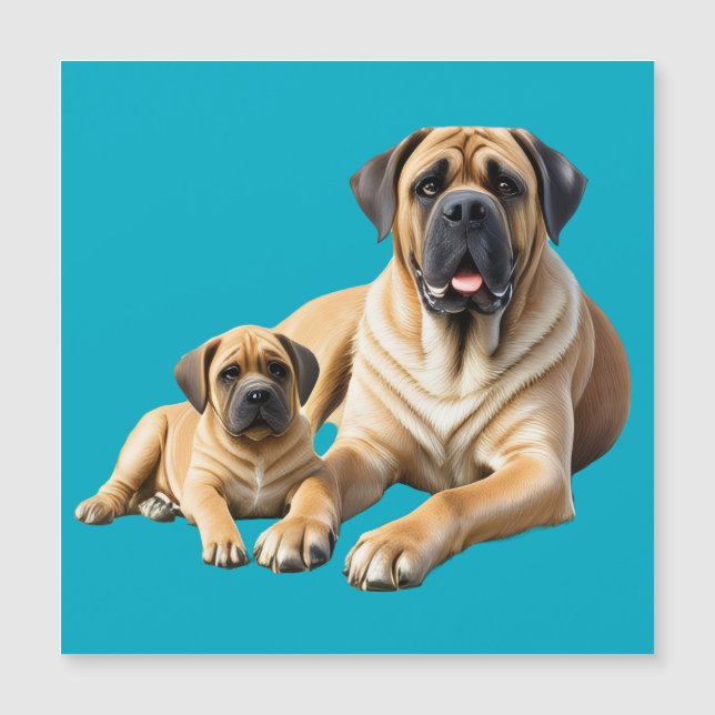 Mastiff englische Dogge mit Kind im Urlaub (正面)