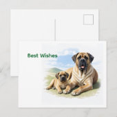 Mastiff englische Dogge mit Kind im Urlaub ポストカード (正面/裏面)