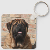  Mastiff englische Dogge Vatertag  キーホルダー (裏面)