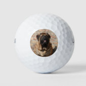 Mastiff englische Dogge Vatertag ゴルフボール (正面)