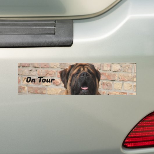 Mastiff englische Dogge Vatertag バンパーステッカー (車上)