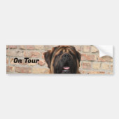 Mastiff englische Dogge Vatertag バンパーステッカー (正面)