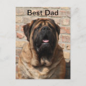  Mastiff englische Dogge Vatertag  ポストカード (正面)