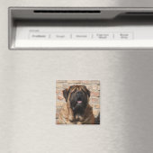  Mastiff englische Dogge Vatertag  マグネット (インサイチュ (食洗機))