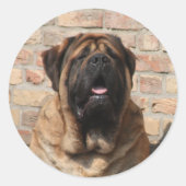Mastiff englische Dogge Vatertag ラウンドシール (正面)
