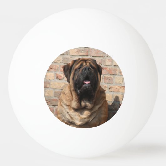 Mastiff englische Dogge Vatertag 卓球ボール (正面)