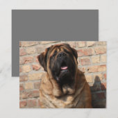 Mastiff englische Dogge Vatertag 招待状 (正面/裏面)