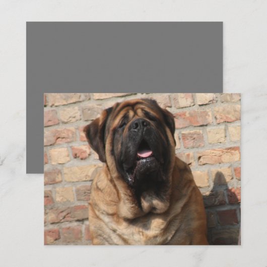 Mastiff englische Dogge Vatertag 招待状 (正面/裏面)