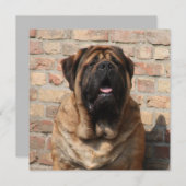 Mastiff englische Dogge Vatertag 招待状 (正面/裏面)
