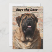  Mastiff englische Dogge Vatertag  招待状 (正面)