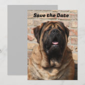  Mastiff englische Dogge Vatertag  招待状 (正面/裏面)