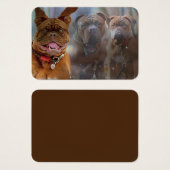 Mastiff Plusプロファイルカード (正面&裏面)