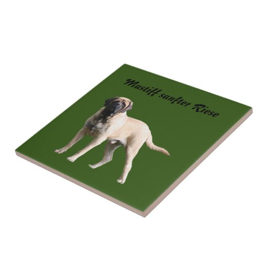 Mastiff  Urlaub English Mastiff タイル (側面)