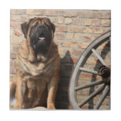 Mastiff Urlaub English Mastiff タイル (正面)