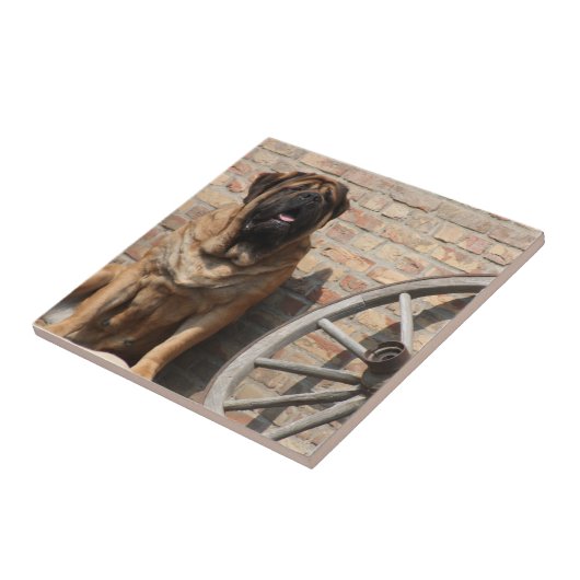 Mastiff Urlaub English Mastiff タイル (側面)