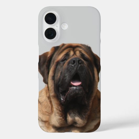 Mastiff Vacation English Mastiff Case-Mate iPhoneケース (裏面)