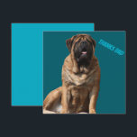 Mastiff Vatertag Best Friends<br><div class="desc">Traumhafte old english Mastiff Hündin . Der Mastiff ist ein Molosser und ein sehr guter Wachhund.. Er ist stolzer und sehr sanfter Riese.Diese Hunderasse ist eine englische Dogge , äußerst liebenswert und sehr treu. Ein toller Familienhund der immer ausgeglichen ist. Ein Geschenk für jeden Hundefreund von grossen Hunderassen.</div>