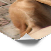 Mastiff Vatertag Best Friends  ポスター (コーナー)