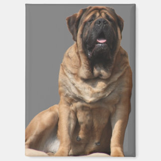 Mastiff Vatertag Best Friends  マグネット