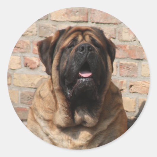 Mastiff Vatertag Best Friends  ラウンドシール (正面)