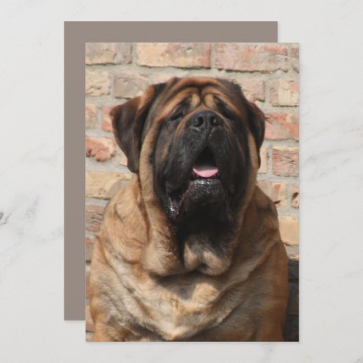 Mastiff Vatertag Best Friends  招待状 (正面/裏面)