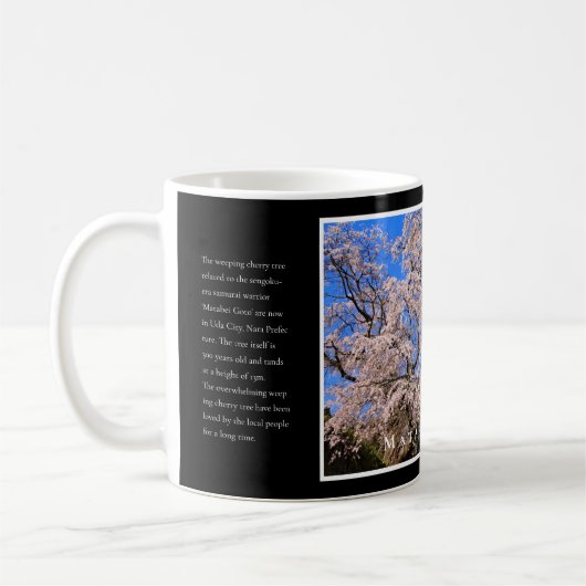 Matabei-Zakura Weeping Cherry Tree コーヒーマグカップ (左)